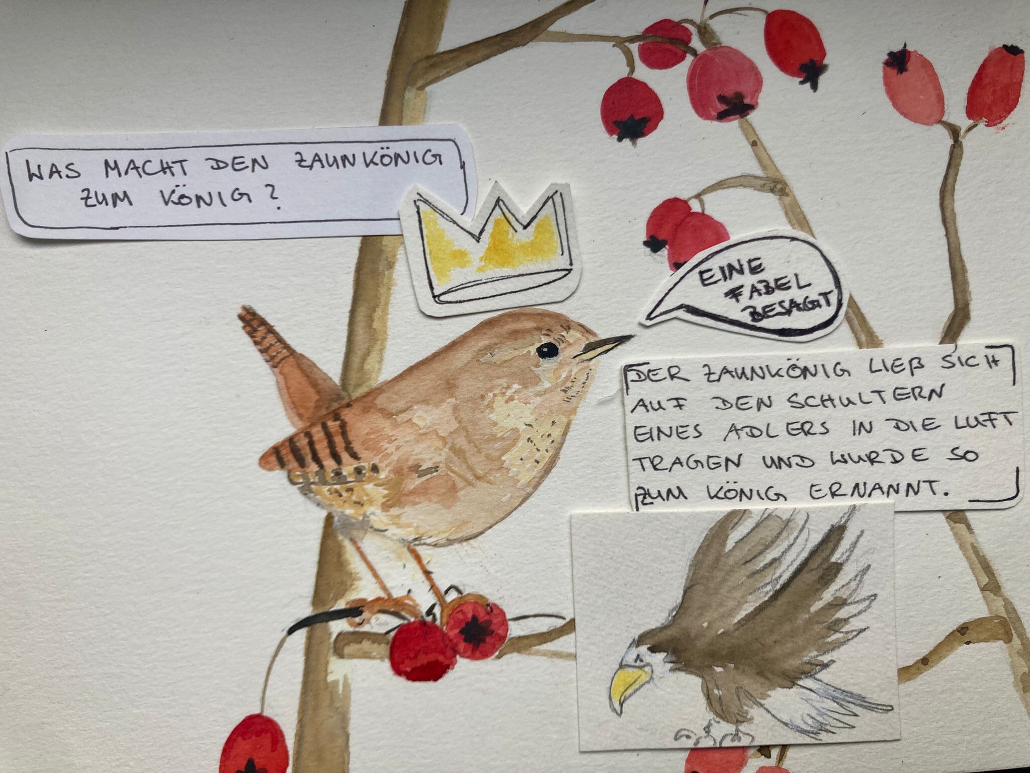 Nature Journaling - Dein eigenes, kreatives Naturtagebuch (4.-8. Klasse)